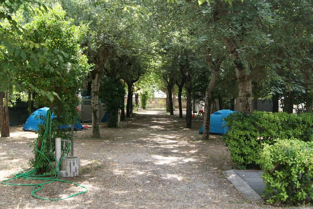 Camping Dolce Sole Marina di Massa Exterior photo