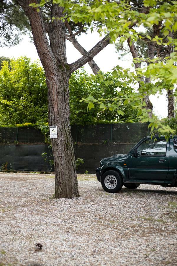 Camping Dolce Sole Marina di Massa Exterior photo